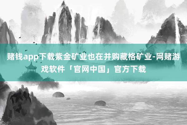 赌钱app下载紫金矿业也在并购藏格矿业-网赌游戏软件「官网中国」官方下载